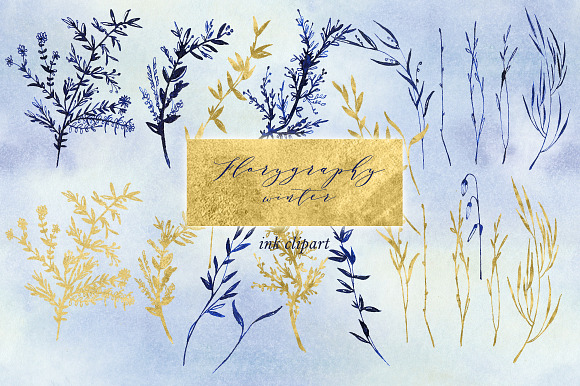 Florygraphy winter. Ink clipart. in Illustrations - product preview 2