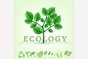 Ecology World Infographics