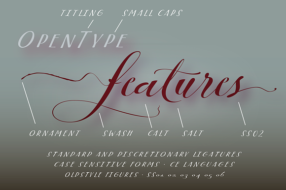 Turia in Script Fonts - product preview 1