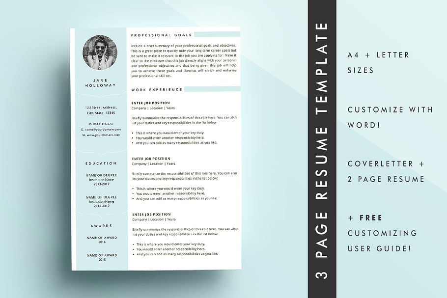 Resume CV Template 3 Page 