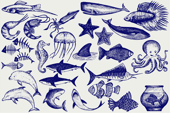 Underwater, sea animals in Illustrations - product preview 1