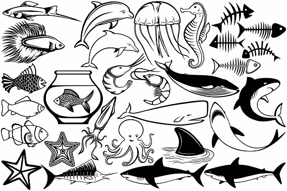 Underwater, sea animals in Illustrations - product preview 2