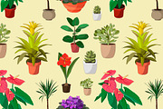 Houseplants set pattern