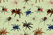 Spiders vector set pattern