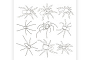 Vector of spiders set