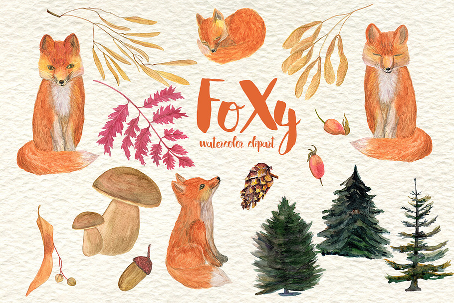 FoXy watercolor clipart in Illustrations - product preview 8