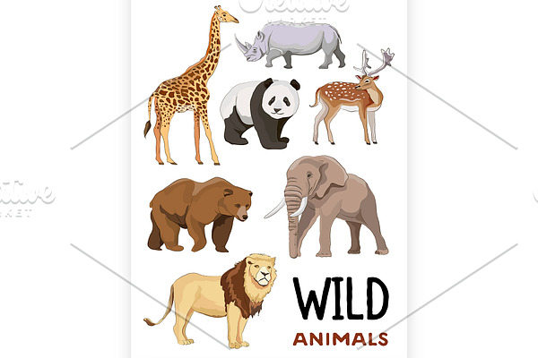 Wild animals set