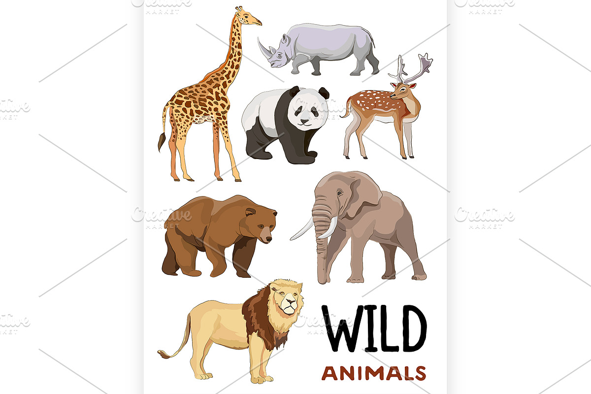 Wild animals set in Illustrations - product preview 8