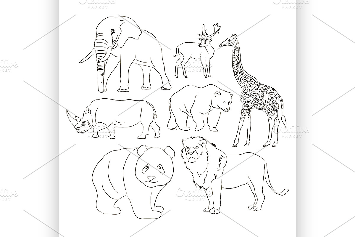 Wild animals set in Illustrations - product preview 8