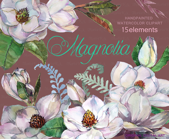 Magnolia Watercolor Clip art F-22 in Objects - product preview 1