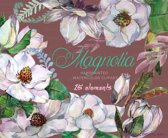 Magnolia Watercolor Clip art F-22 in Objects - product preview 2