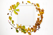 Autumn Inspired Frame Mockup