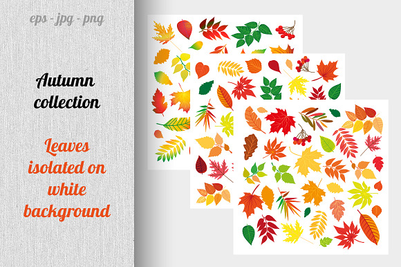 Autumn collection in Illustrations - product preview 2