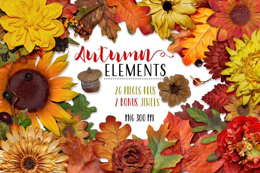 Autumn Elements plus Bonus! in Objects - product preview 8