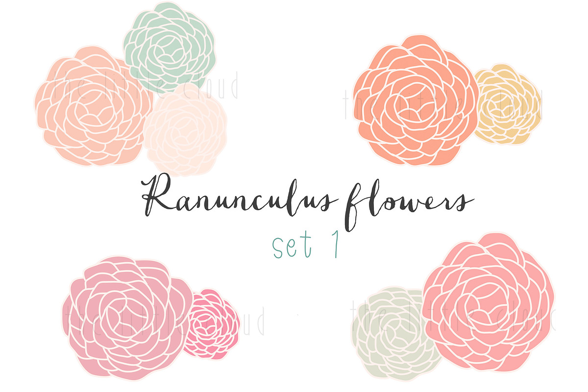 Ranunculus clip art set 1 in Illustrations - product preview 8