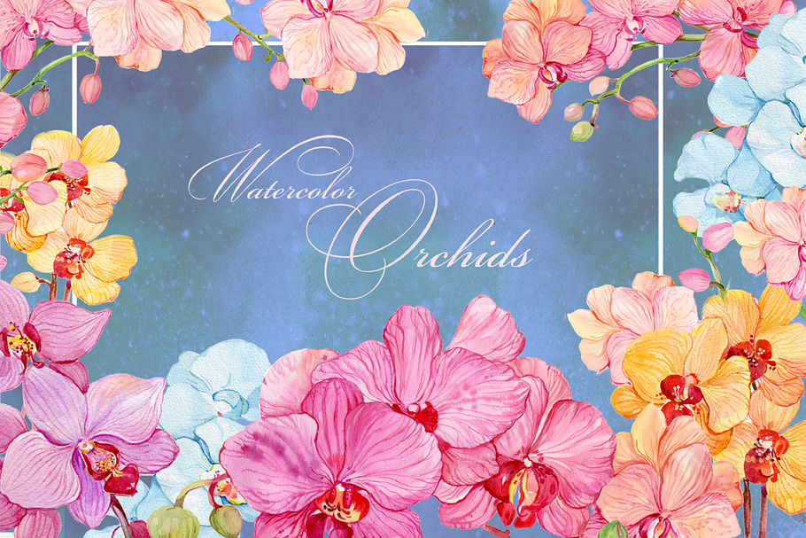 watercolor clipart/orchids /wreaths