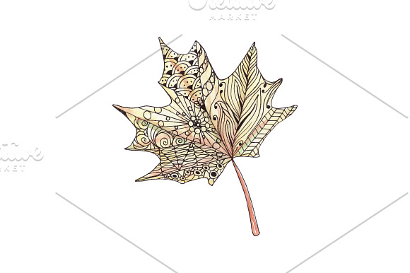 Watercolor Maple Leaf  in Illustrations - product preview 1