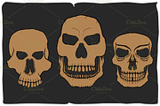 Vector Skull Images