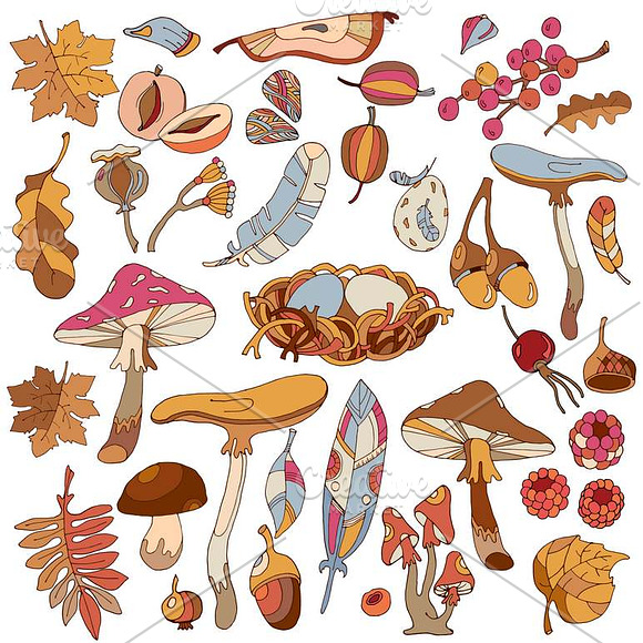 Autumn collection in Graphics - product preview 5