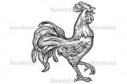 Rooster. Vintage mono engraving