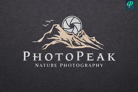 PhotoPeak - Photography Logo Design in Logo Templates - product preview 1