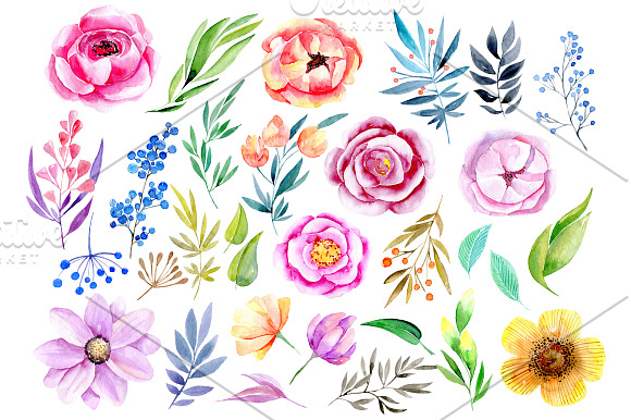 Watercolor flowers, leaves, branches in Graphics - product preview 1