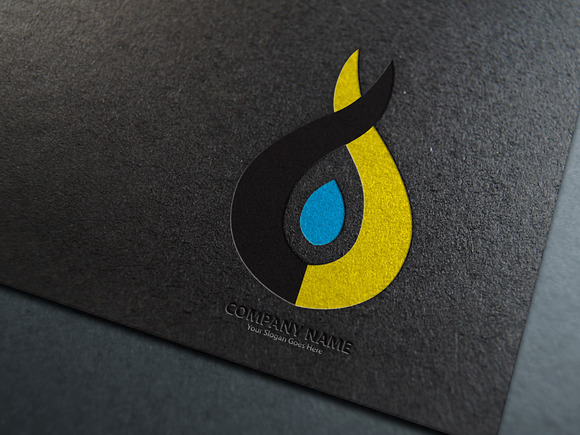 Fire Logo Template in Logo Templates - product preview 2