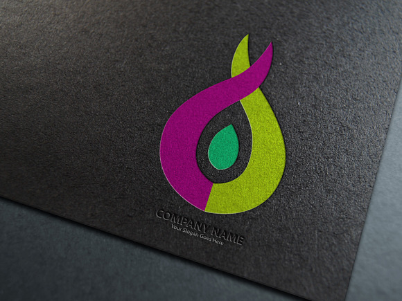 Fire Logo Template in Logo Templates - product preview 4