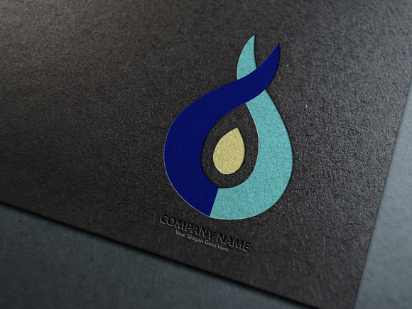 Fire Logo Template in Logo Templates - product preview 5