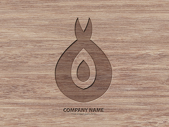 Fire Logo Template in Logo Templates - product preview 6