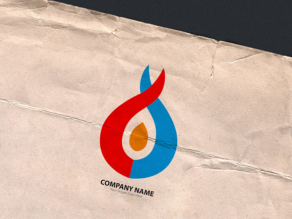 Fire Logo Template in Logo Templates - product preview 7
