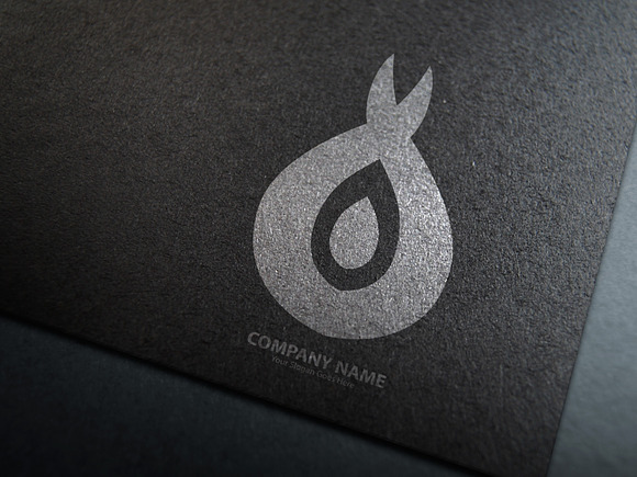 Fire Logo Template in Logo Templates - product preview 10