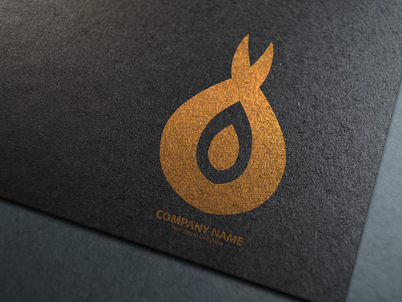 Fire Logo Template in Logo Templates - product preview 11