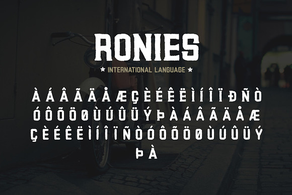 Ronies Vintage Font in Display Fonts - product preview 3