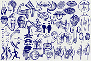 People and human body parts