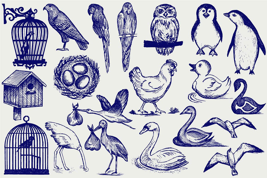 Different types of birds in House Icons - product preview 8