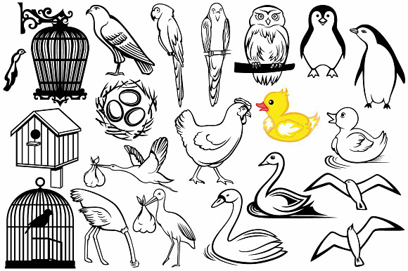Different types of birds in House Icons - product preview 1