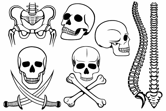 Skeleton, human bones in Skull Icons - product preview 1