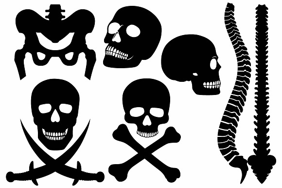 Skeleton, human bones in Skull Icons - product preview 2