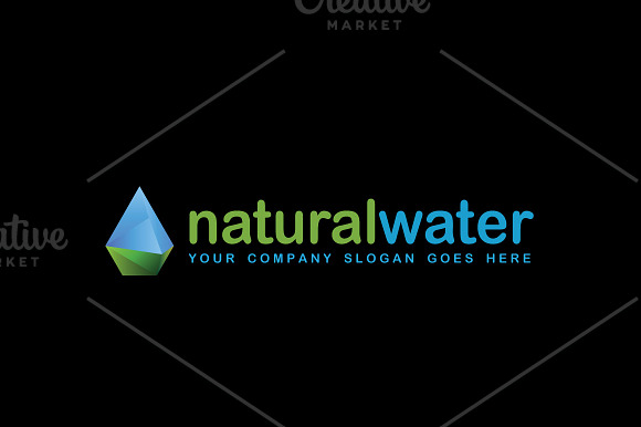 Natural/Crystal Water Droplet Logo in Logo Templates - product preview 1