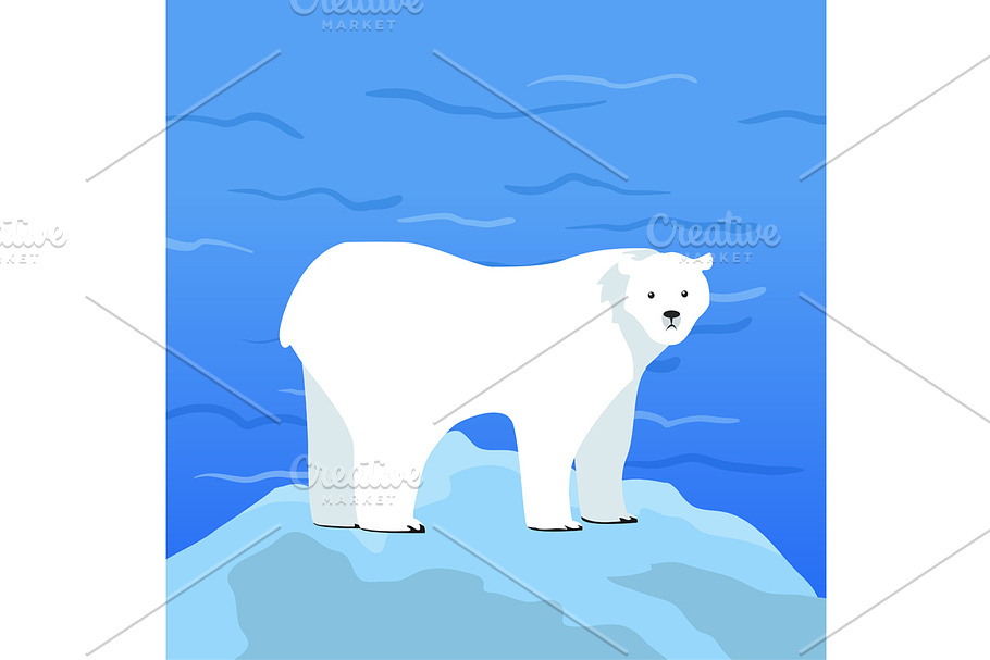 Polar Bear Ursus