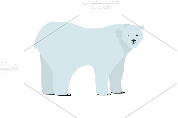 Polar Bear Ursus in Illustrations - product preview 1