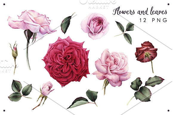 35 Floral Elements in Illustrations - product preview 1