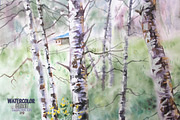 Watercolor landscape with birch.