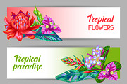 Banners with Thailand flowers. 