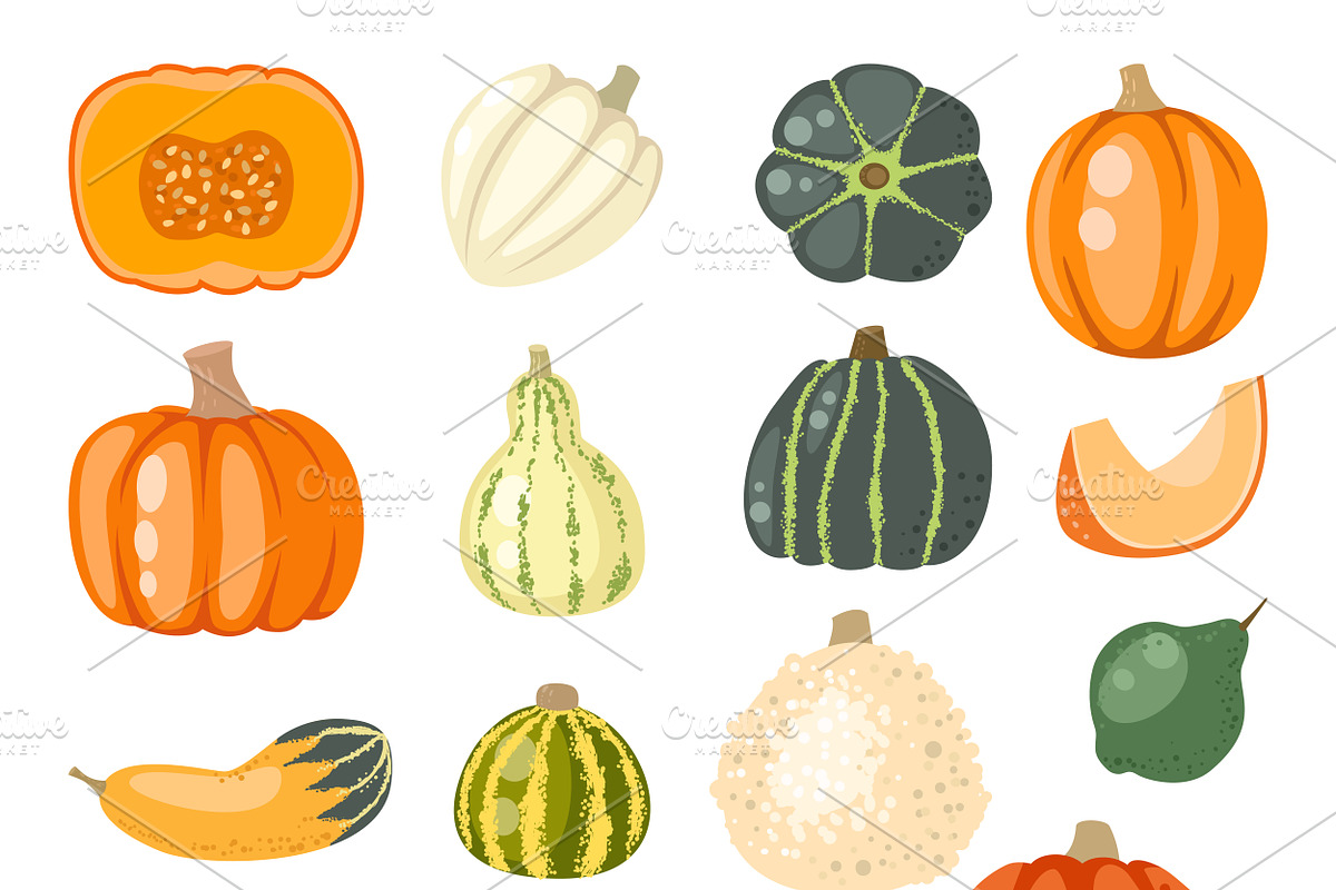 Vector pumpkin set in Illustrations - product preview 8