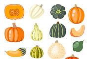 Vector pumpkin set