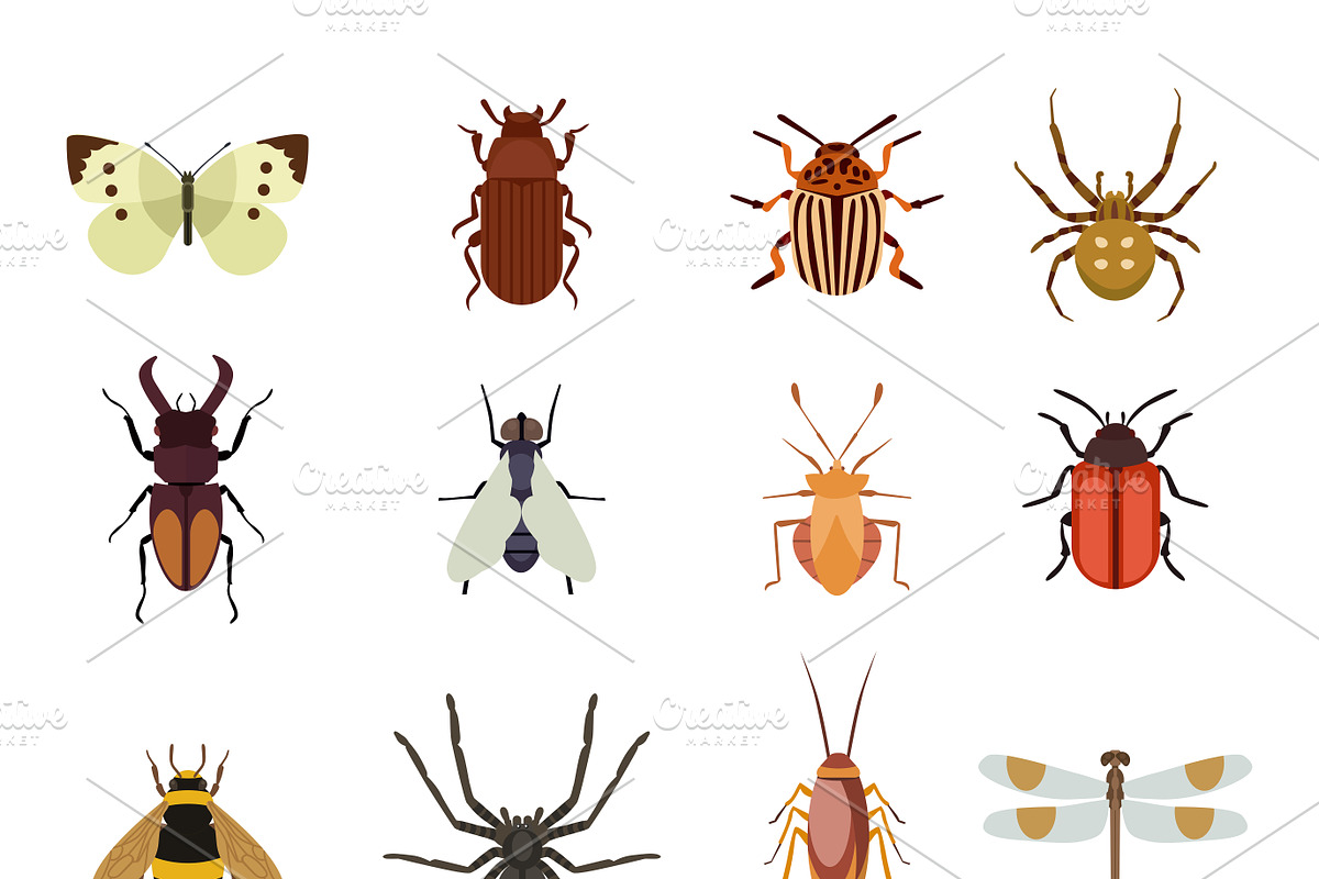Insect icons vector set in Illustrations - product preview 8