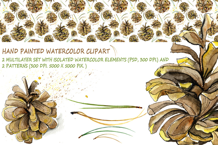 Watercolor pine cones kit in Illustrations - product preview 8