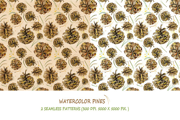 Watercolor pine cones kit in Illustrations - product preview 1